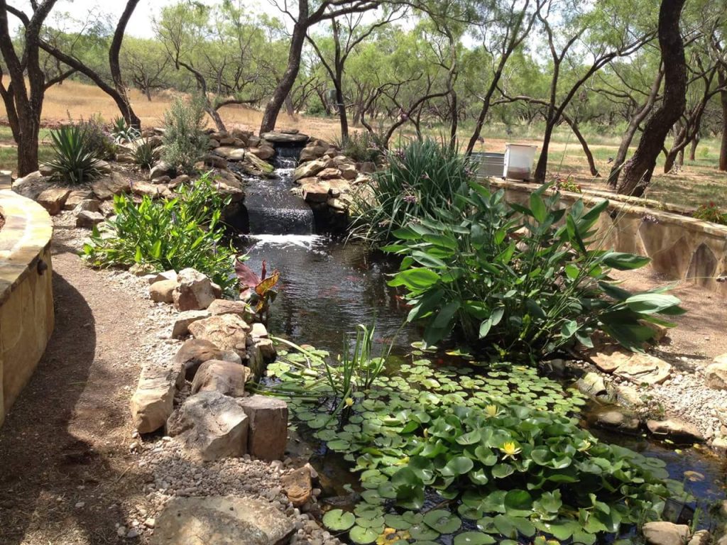 best landscaping techniques