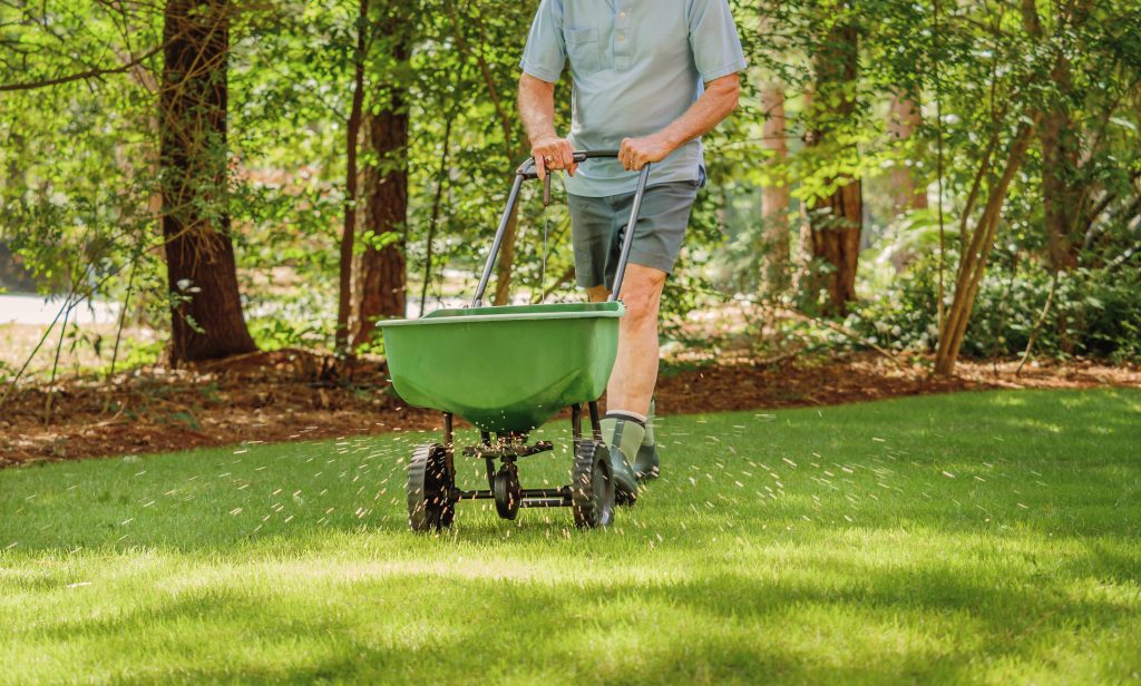 when to fertilize your lawn